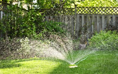 Water-Efficient Landscaping in Bradenton, FL